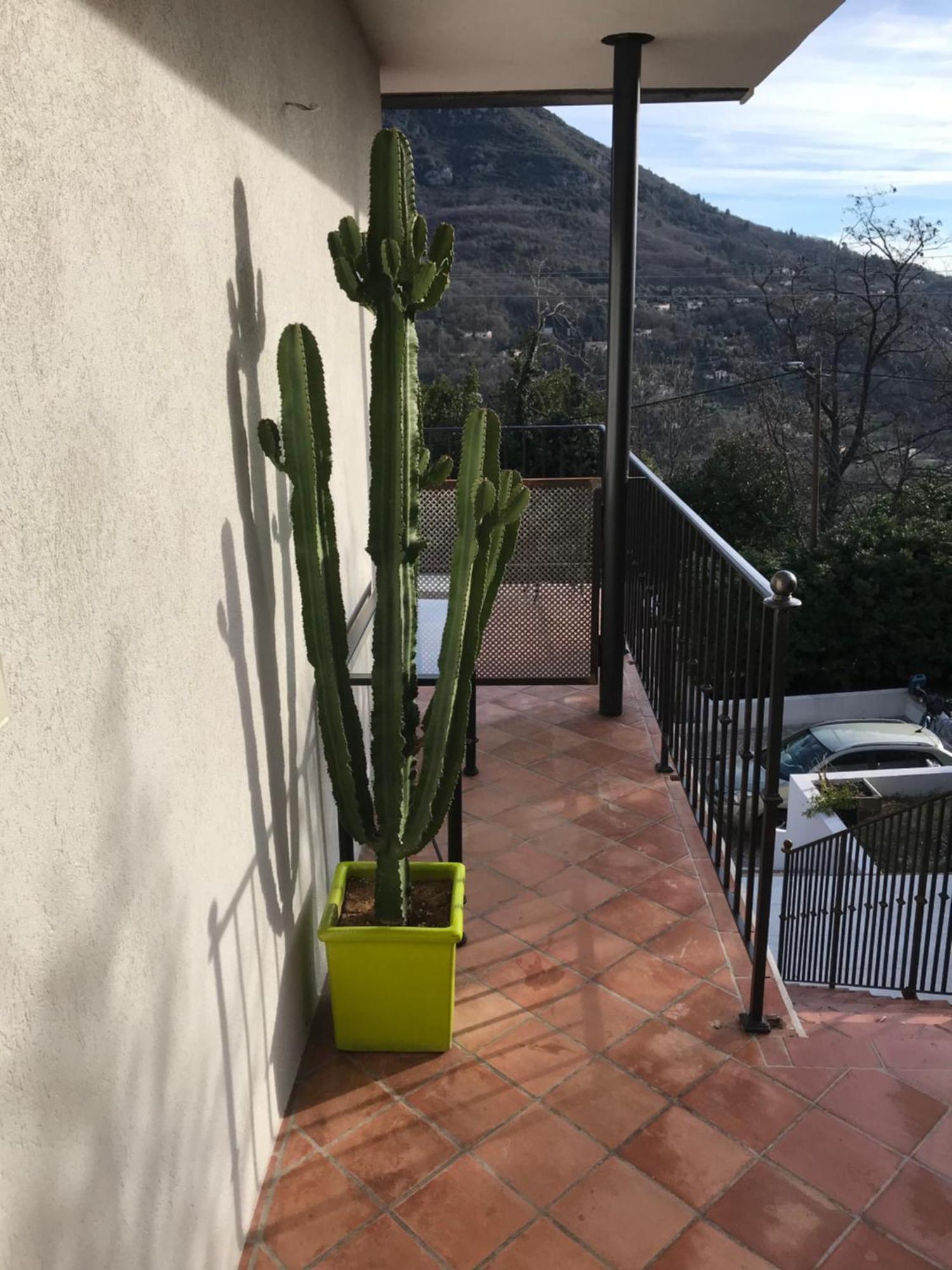 Haut De Villa Avec Vue - Le Bar Sur Loup 06 المظهر الخارجي الصورة