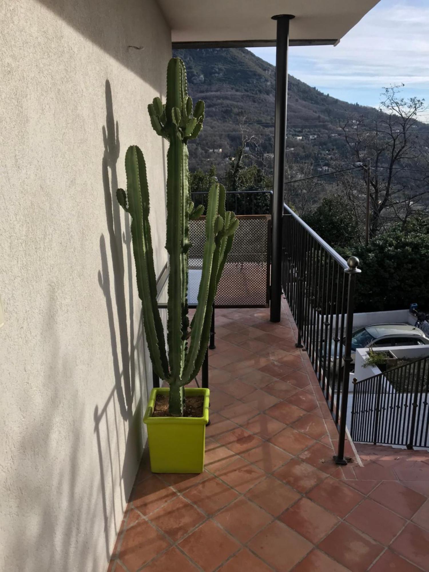Haut De Villa Avec Vue - Le Bar Sur Loup 06 المظهر الخارجي الصورة